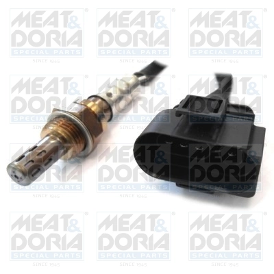 Oxygen Sensor